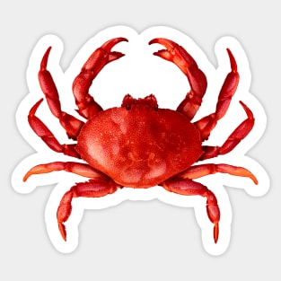 Red Crab Sticker